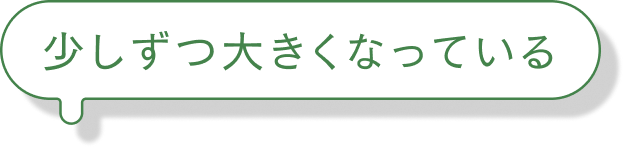 少しずつ大きくなっている