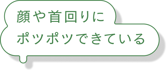 顔や首回りにポツポツできている