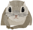モモンガのイラスト