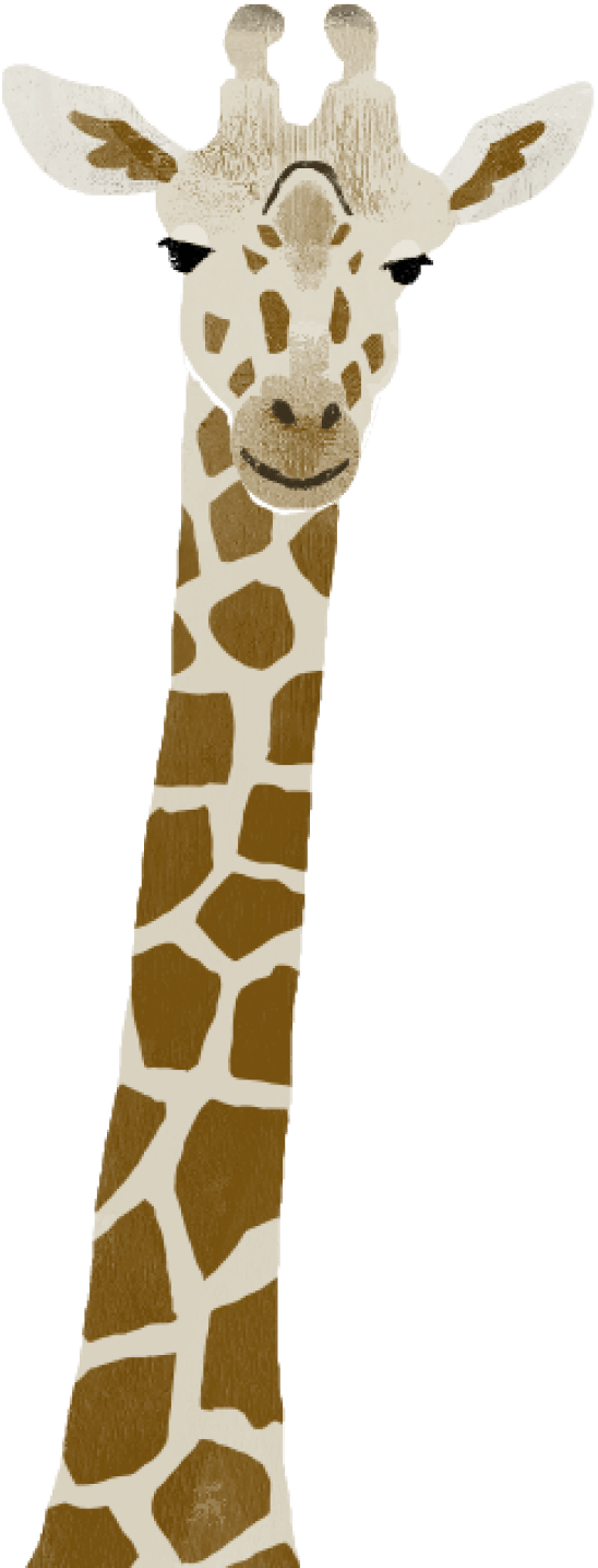 粉瘤のイラスト