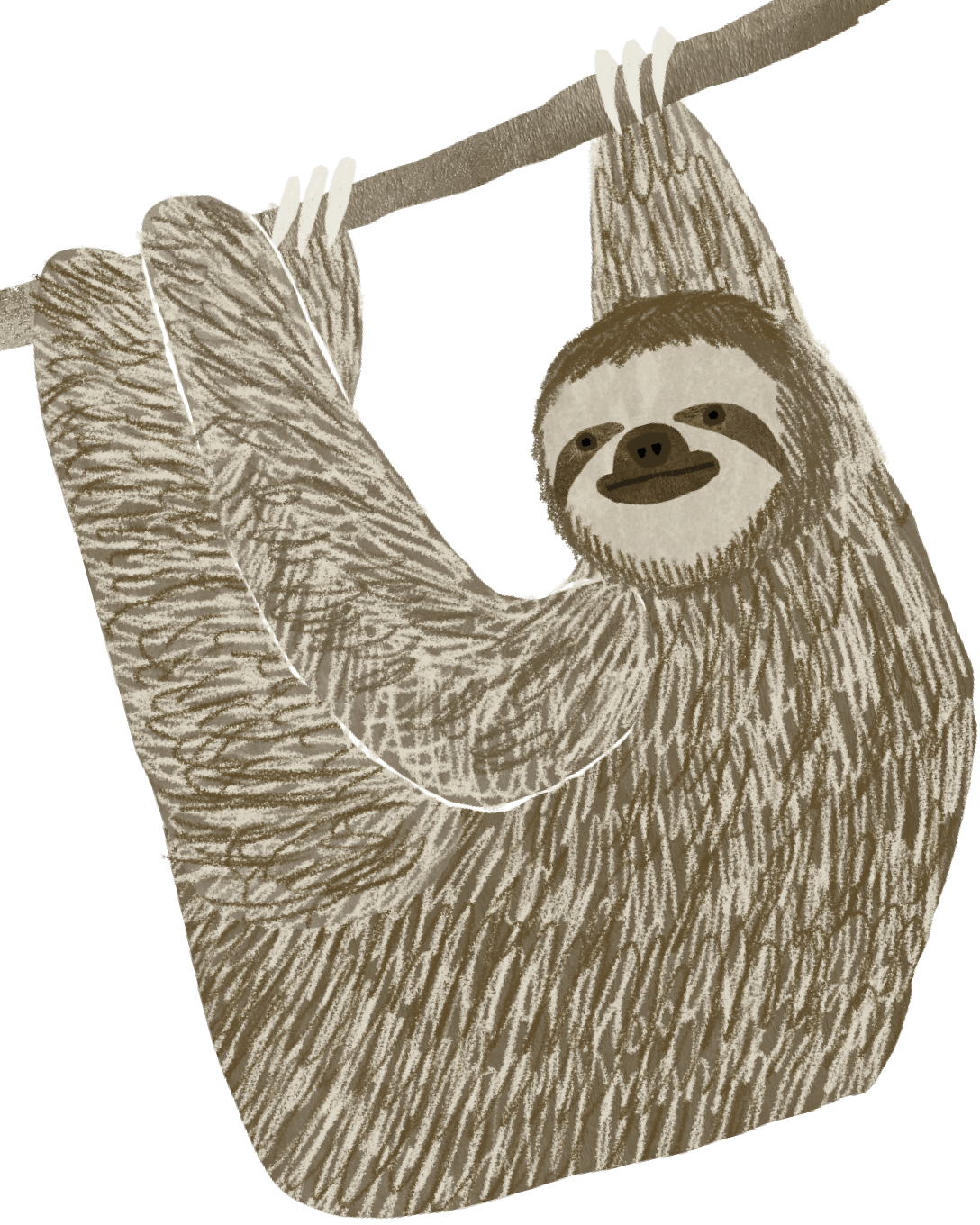 陥入爪・巻き爪のイラスト