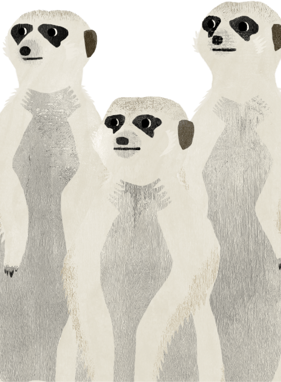 脂肪腫のイラスト