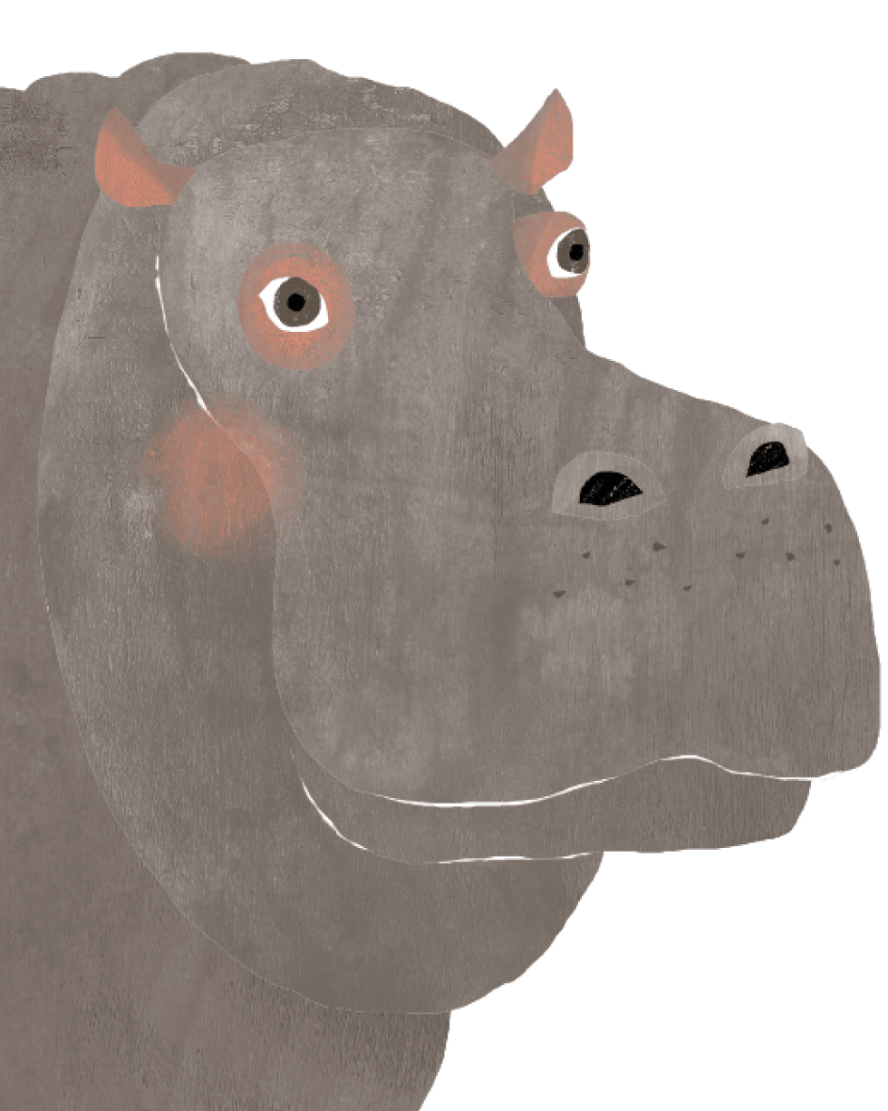 脂漏性角化症のイラスト